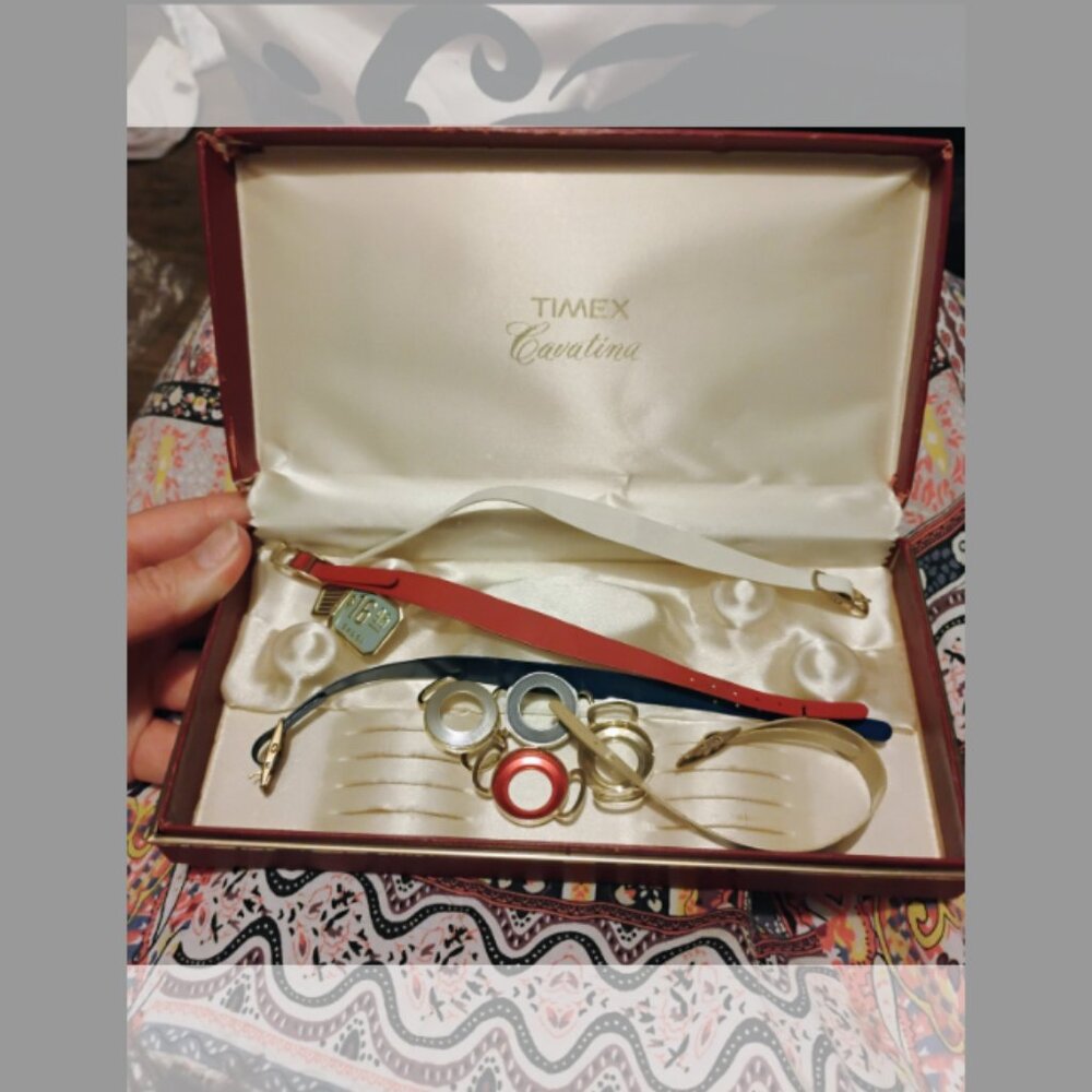 Timex Catavina watch band set